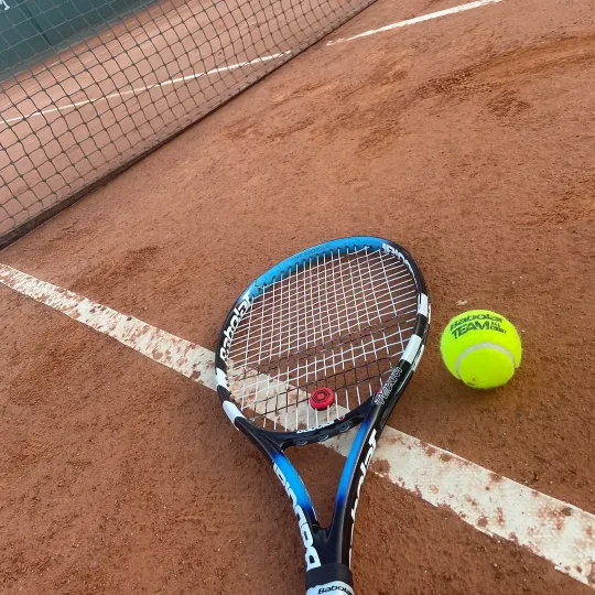 Tennis racket and ball on a clay court, by the net